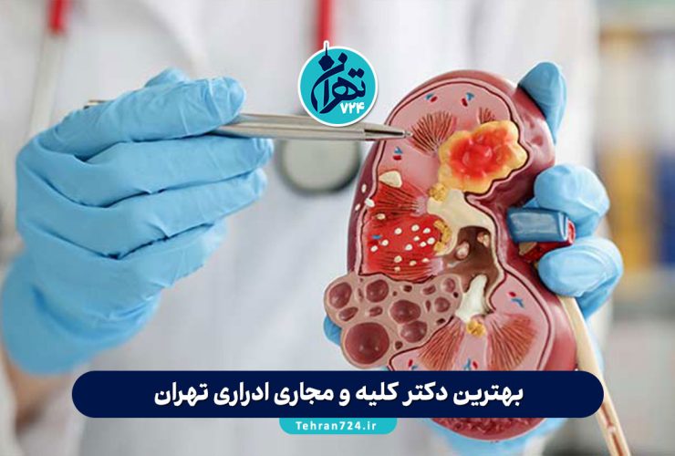 بهترین دکتر کلیه و مجاری ادراری تهران | معرفی ۱۲ فوق تخصص اورولوژی با آدرس و شماره تماس