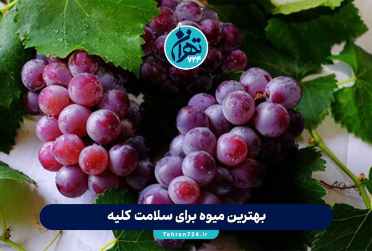 بهترین میوه‌ها برای سلامت کلیه: معرفی میوه‌های مفید و ممنوع برای بیماری کلیوی + نکات علمی و هشدارها