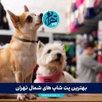 بهترین پت شاپ های شمال تهران | معرفی ۱۲ پت شاپ معتبر با آدرس، شماره تماس و خدمات ویژه