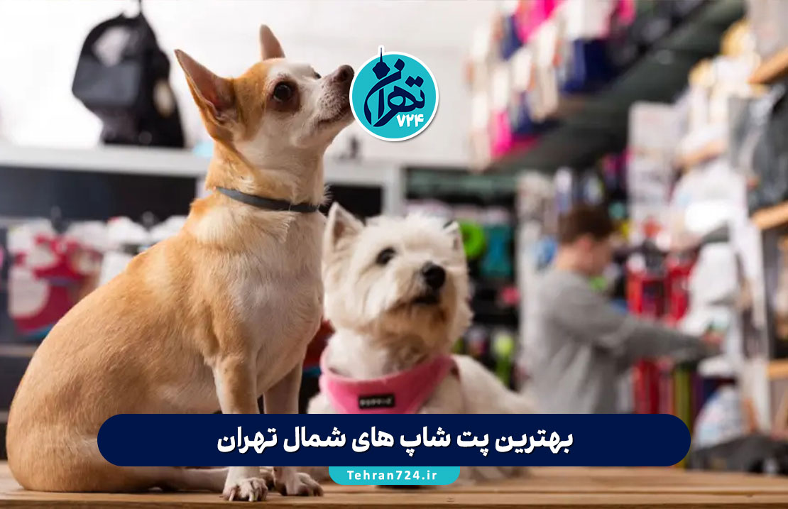 بهترین پت شاپ های شمال تهران | معرفی ۱۲ پت شاپ معتبر با آدرس، شماره تماس و خدمات ویژه
