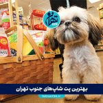 بهترین پت شاپ‌های جنوب تهران | معرفی ۱۲ فروشگاه معتبر با آدرس و امکانات