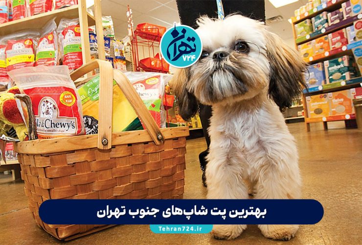 بهترین پت شاپ‌های جنوب تهران | معرفی ۱۲ فروشگاه معتبر با آدرس و امکانات