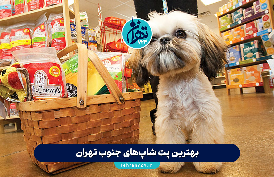 بهترین پت شاپ‌های جنوب تهران | معرفی ۱۲ فروشگاه معتبر با آدرس و امکانات