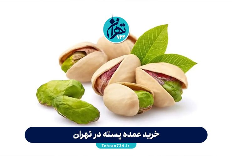 خرید عمده پسته در تهران | معرفی بهترین فروشگاه‌های پسته عمده با قیمت روز و تضمین کیفیت