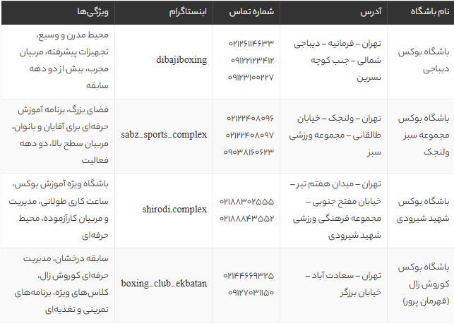 لیست بهترین باشگاه های بوکس تهران | آدرس، شماره تماس و معرفی تخصصی باشگاه ها