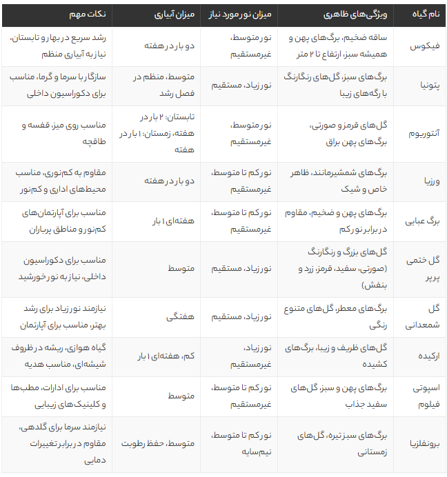 بهترین گیاهان آپارتمانی چهار فصل؛ 10 انتخاب سبز و مقاوم برای خانه و محل کار در تمام سال بهترین گیاهان آپارتمانی چهار فصل؛ 10 انتخاب سبز و مقاوم برای خانه و محل کار در تمام سال