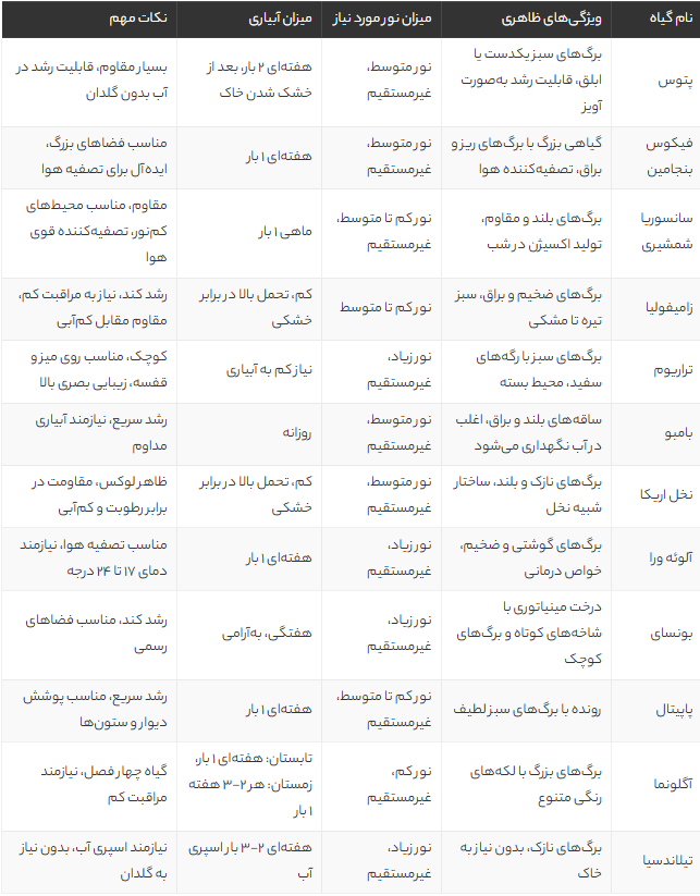 بهترین گیاهان مناسب برای محل کار | معرفی ۱۲ گل مقاوم و خاص برای روحیه و دکور اداری بهترین گیاهان مناسب برای محل کار | معرفی ۱۲ گل مقاوم و خاص برای روحیه و دکور اداری