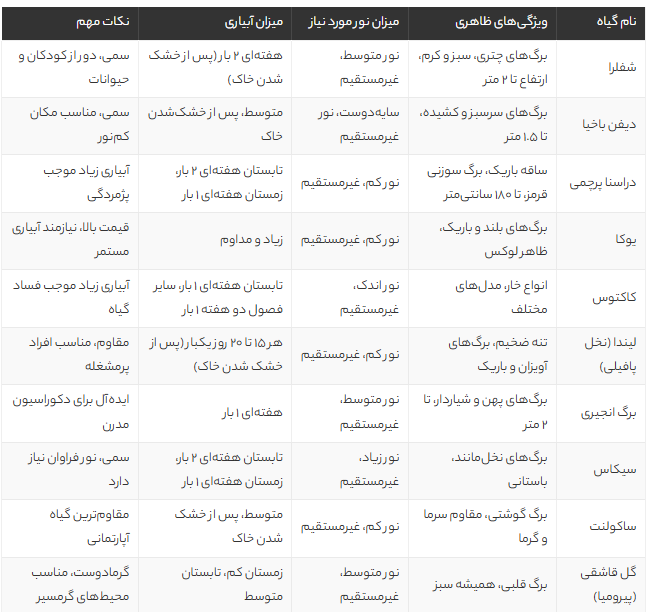 10 تا از بهترین گیاهان آپارتمانی مقاوم برای خانه‌های کم‌نور + شرایط نگهداری و نکات مهم