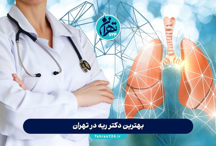 بهترین دکتر ریه در تهران | لیست فوق تخصص ریه و آدرس مطب+مشاوره و رزرو نوبت بهترین دکتر ریه در تهران | لیست فوق تخصص ریه و آدرس مطب+مشاوره و رزرو نوبت