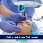 بهترین جراح بینی گوشتی در تهران 1405 | معرفی 10 پزشک مطرح با نمونه کار و آدرس مطب