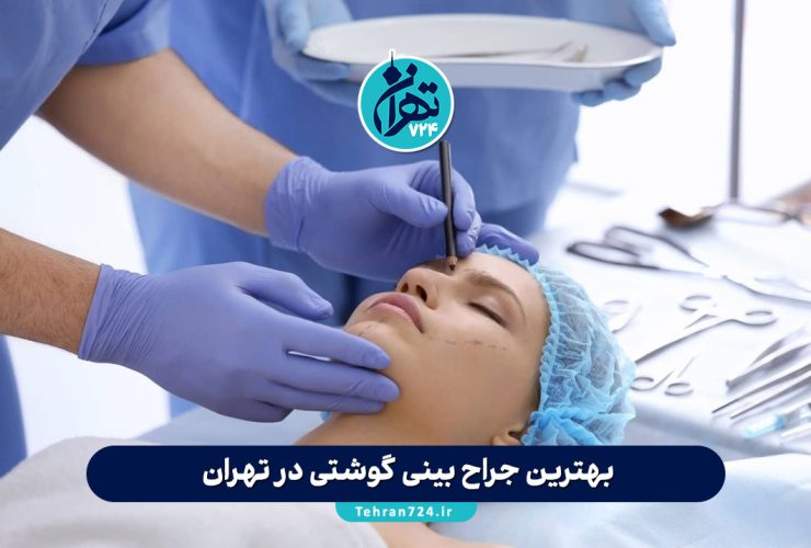 بهترین جراح بینی گوشتی در تهران 1405 | معرفی 10 پزشک مطرح با نمونه کار و آدرس مطب
