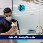 بهترین دامپزشکی های تهران | معرفی ۵ کلینیک معتبر برای درمان و واکسیناسیون حیوانات خانگی