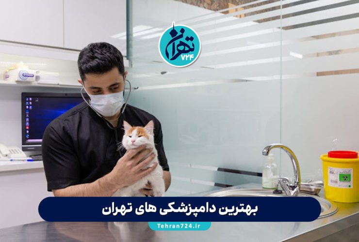 بهترین دامپزشکی های تهران | معرفی ۵ کلینیک معتبر برای درمان و واکسیناسیون حیوانات خانگی