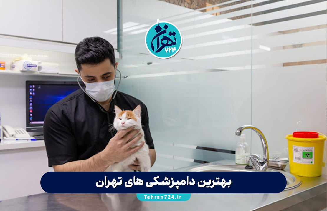 بهترین دامپزشکی های تهران | معرفی ۵ کلینیک معتبر برای درمان و واکسیناسیون حیوانات خانگی