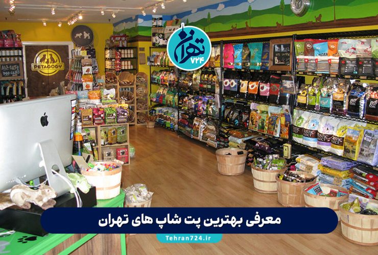 معرفی بهترین پت شاپ های تهران 1405 | آدرس، شماره تماس و خدمات ویژه معرفی بهترین پت شاپ های تهران 1405 | آدرس، شماره تماس و خدمات ویژه